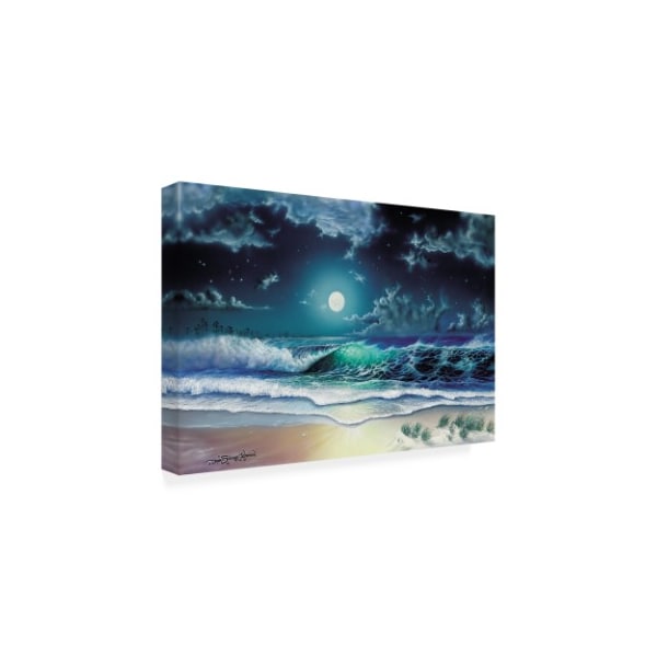 Dann Spider Warren 'Enchanted Waters' Canvas Art,16x24